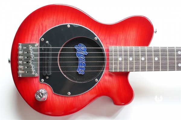 PGG-200FM SR